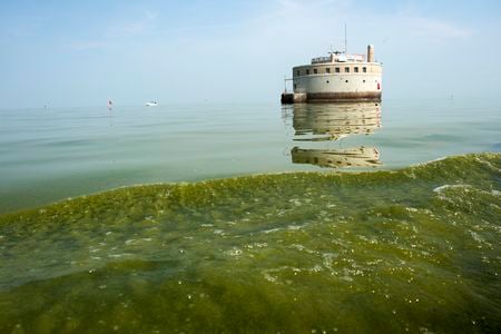 The Lady K tow boat kicks up a wake full of green algae a few hundred feet from the city of Toledo's Water Intake on Lake Erie, for testing on Monday, August 4, 2014.