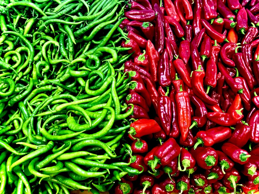 red and green chiles