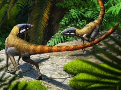 An artist&rsquo;s reconstruction of Scleromochlus taylori, an ancestor of pterosaurs