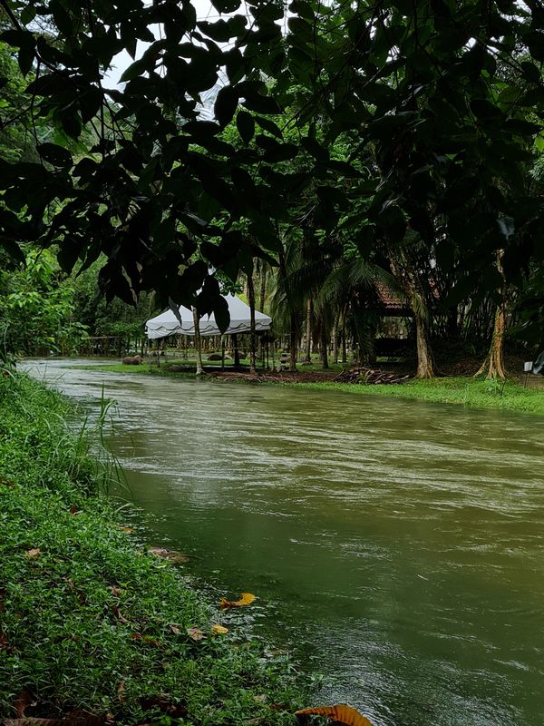 A beautiful stream at the outskirt of Kuala Lumpur. thumbnail