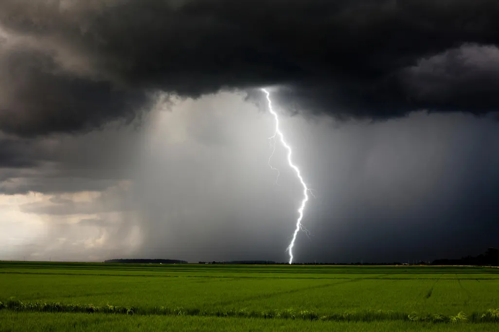 iStock_000025872037_Large.jpg