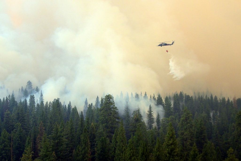 rim fire