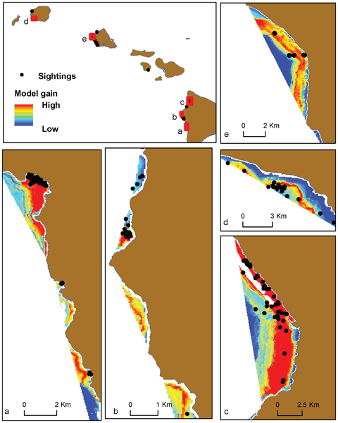 A few of the maps identifying the most suitable spinner dolphin resting areas, indicated in red.