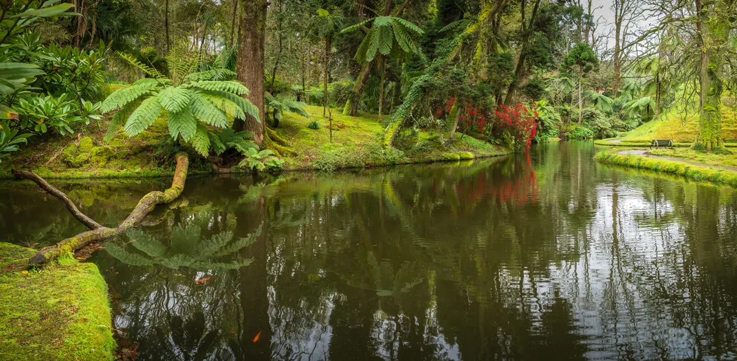 Parque Terra Nostra, São Miguel