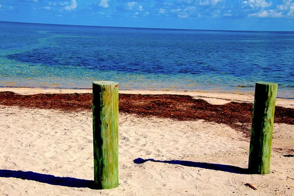 Two Post and the Ocean thumbnail