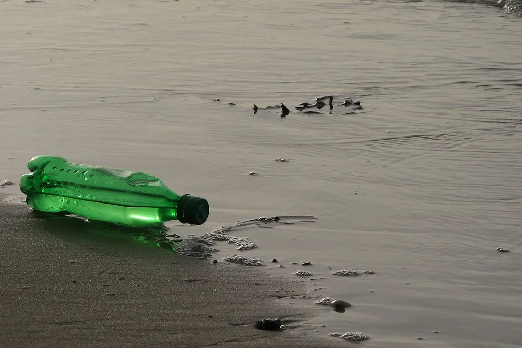 A lone green plastic bottle sits discarded near a body of water