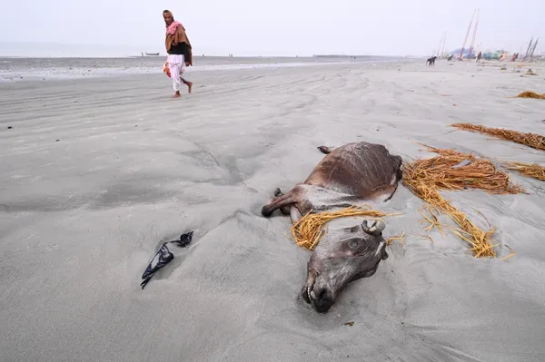 The Departed thumbnail