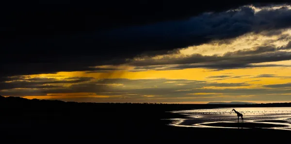 Storm Gazing thumbnail