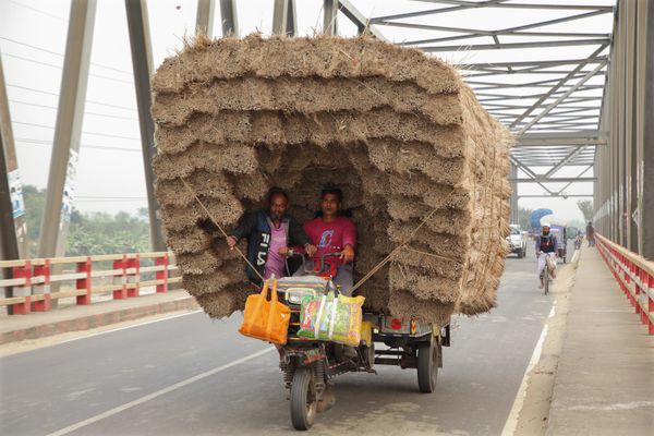 Jute stick carrying by a Nosimon thumbnail