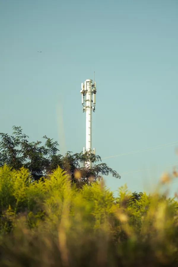 Radio Tower in Forest thumbnail