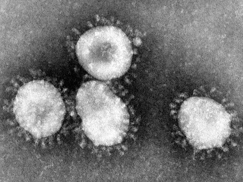 Coronaviruses_004_lores.jpg