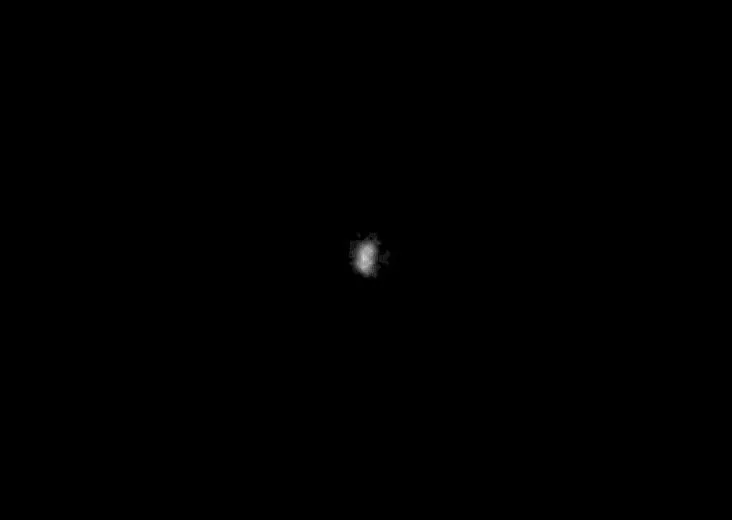 a fuzzy white object on a black background