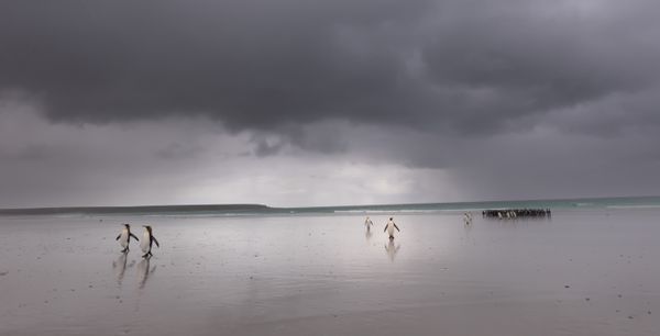 Stay or go thumbnail