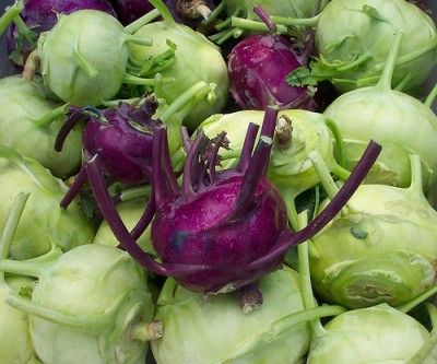 20110520090156kohlrabi-by-lawrence-farmers-market-400x333.jpg