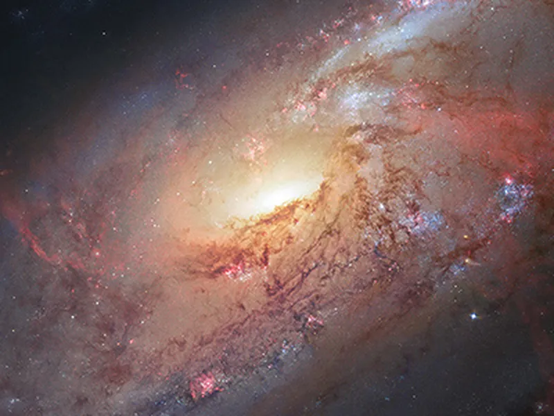 Astronomer hubble store