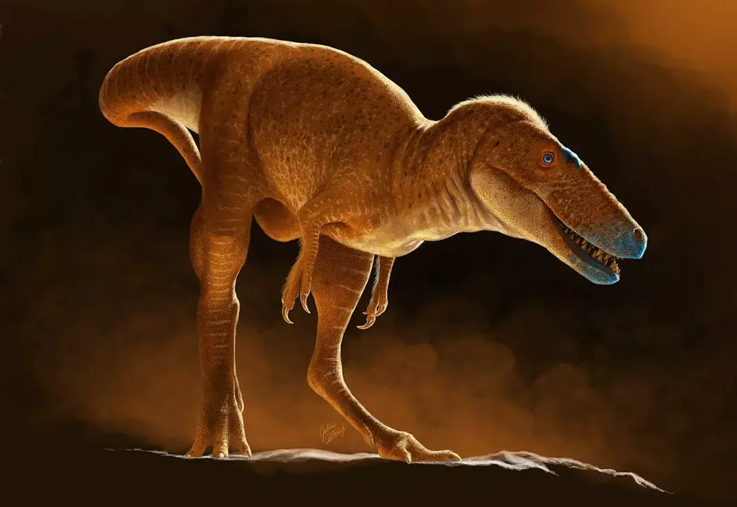 illustration of a tyrannosaur