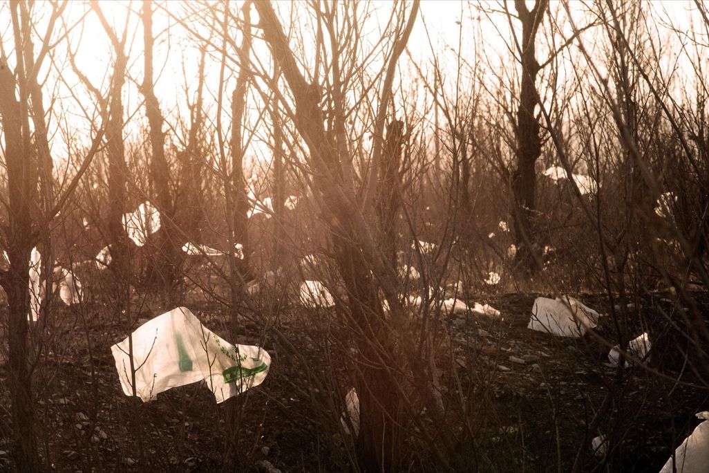 Plastic bags