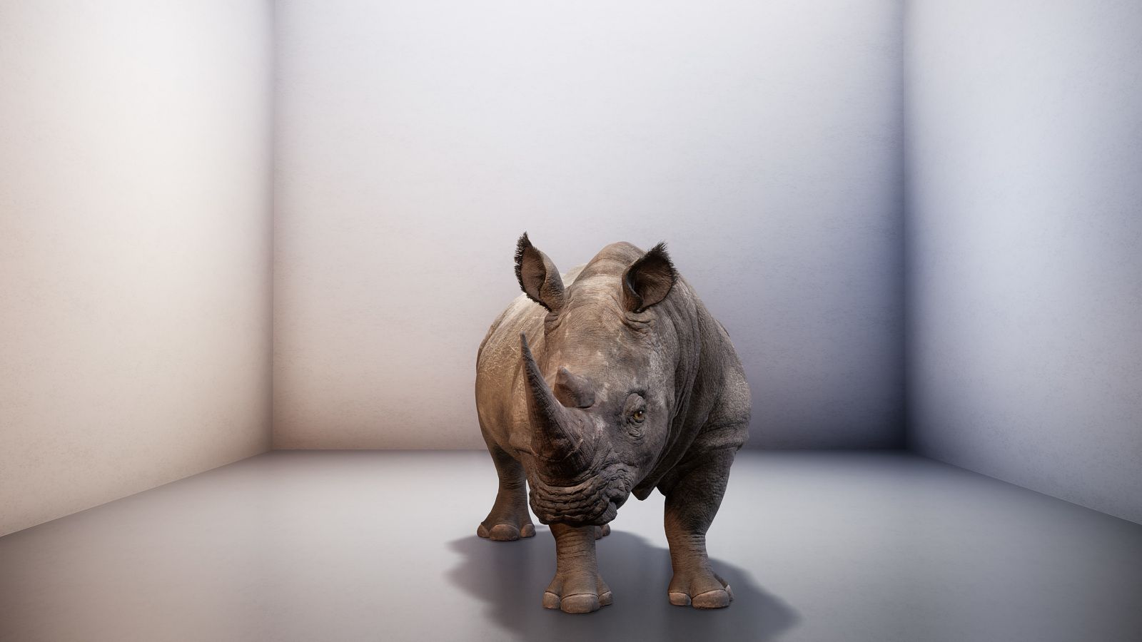 The Northern White Rhino Went Extinct, But for Two Minutes at a Time, the  Animal Makes a Digital Comeback | At the Smithsonian| Smithsonian Magazine