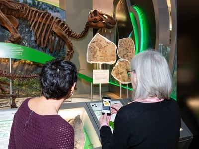 Museum staff, Laura Donnelly-Smith and Sally Love, try out the new audio description app in the “Hall of Fossils – Deep Time.” (Lucia RM Martino, Smithsonian Institution)