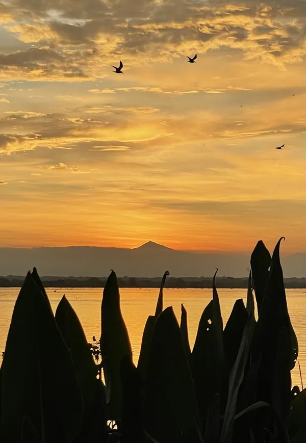 The Magdalena River and the foothills of the Sierra Navada de Santa Marta at dawn. thumbnail