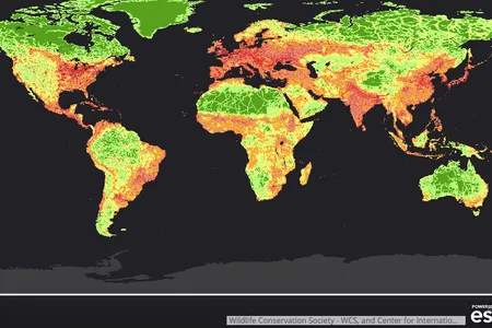 A map of human impacts around the globe where green areas show areas with the least amount of human influence and red and purple show the areas with the greatest.