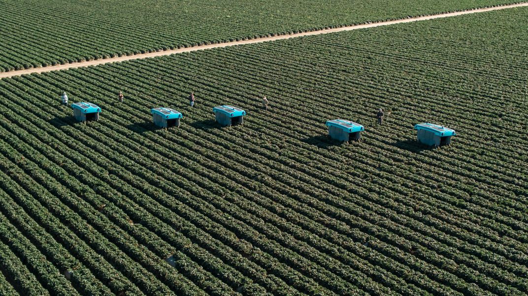 Is This Weed-Spotting, Yield-Predicting Rover the Future of Farming?