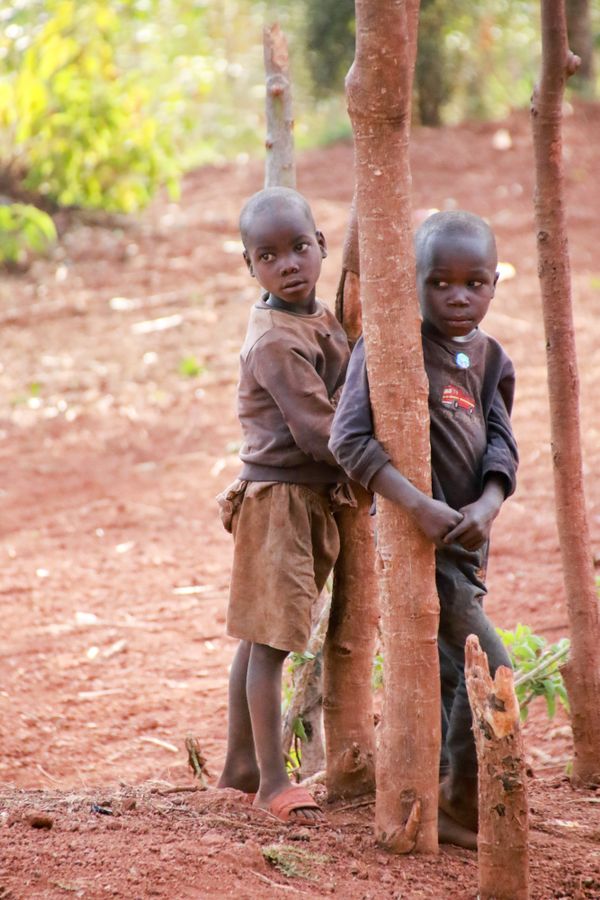 Young Boys at Kibera National Park, Gitega thumbnail