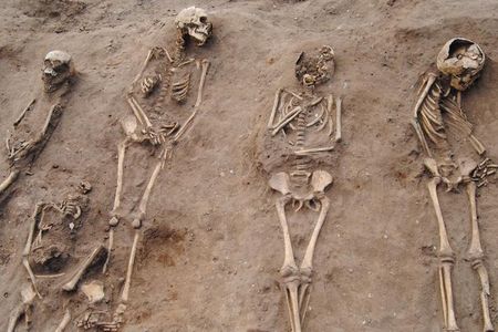 Human skeletons found in a mass grave near the ruins of a medieval monastery in the English countryside.