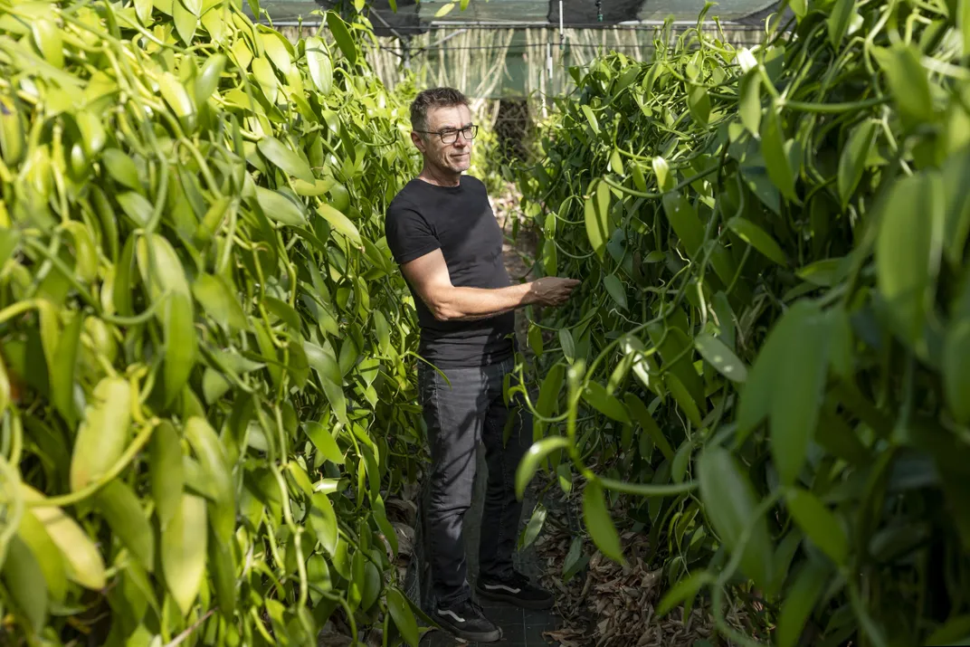 Côme collects vanilla beans at La Vanilleraie, his farm in Sainte-Suzanne, where he sells vanilla vinegar, rum jam, syrup and other vanilla-infused goodies.