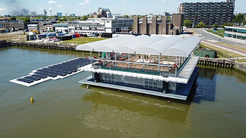 Floating-Farm-main.jpg