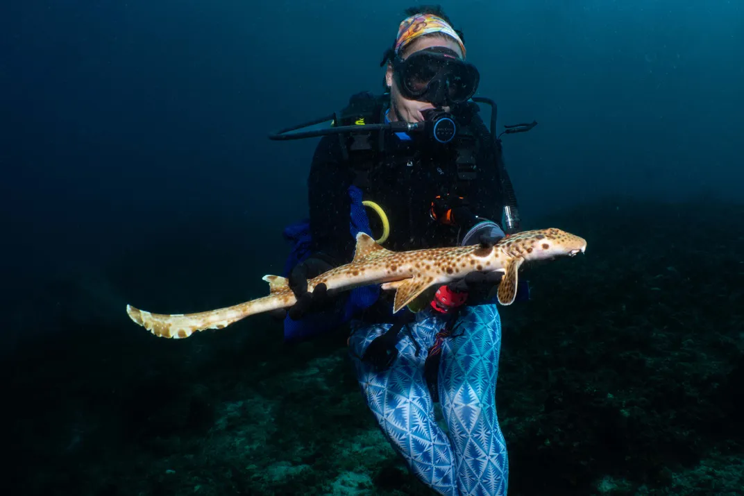 A woman in scuba diving gear holding a long slender shark underwater