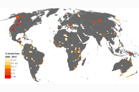 Deforestation threatens natural world heritage sites.