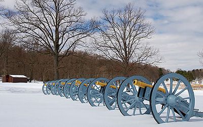 Cannons at Valley Forge
