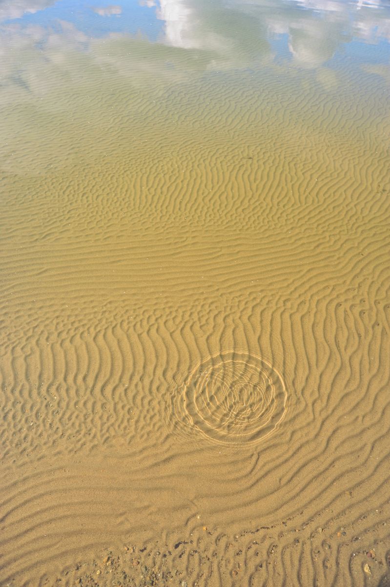 Near-shore sand ripple interference patterns on a shallow lake bottom ...