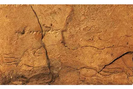 A scholar spotted the long-overlooked image (its horns and face are at left, its legs on the right) while conducting research at a Berlin museum.