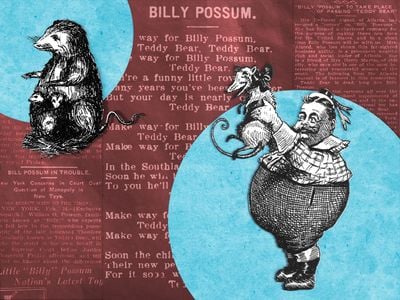 The New Jersey Morning Call said Billy Possum had &ldquo;a head that is likely to give a baby [a] nightmare.&rdquo;