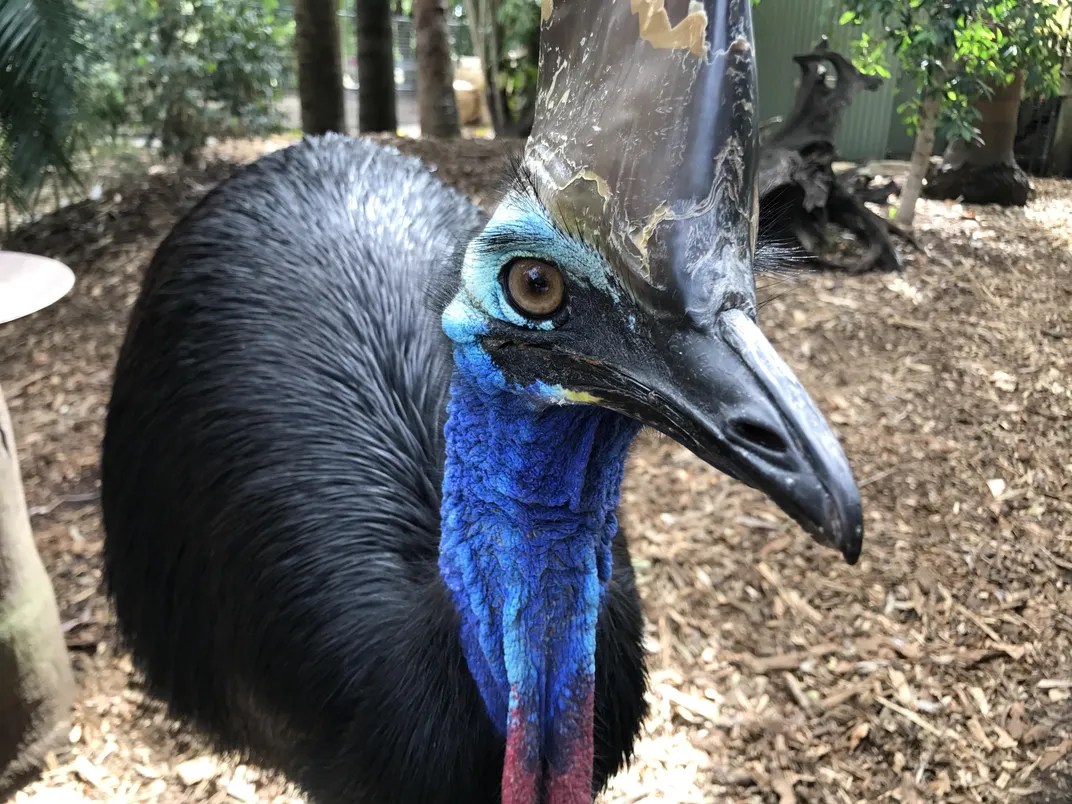 Featherdale Sydney Wildlife Park