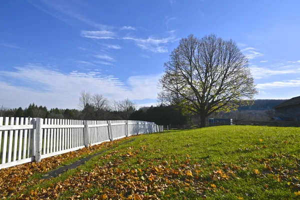 White picket fence in a farm with autumn leaf colour thumbnail