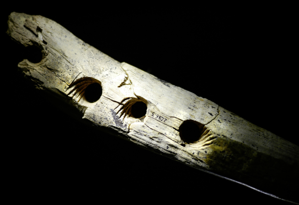 A wooly mammoth tusk, made from 15 pieces of ivory, with four holes carved into its side.