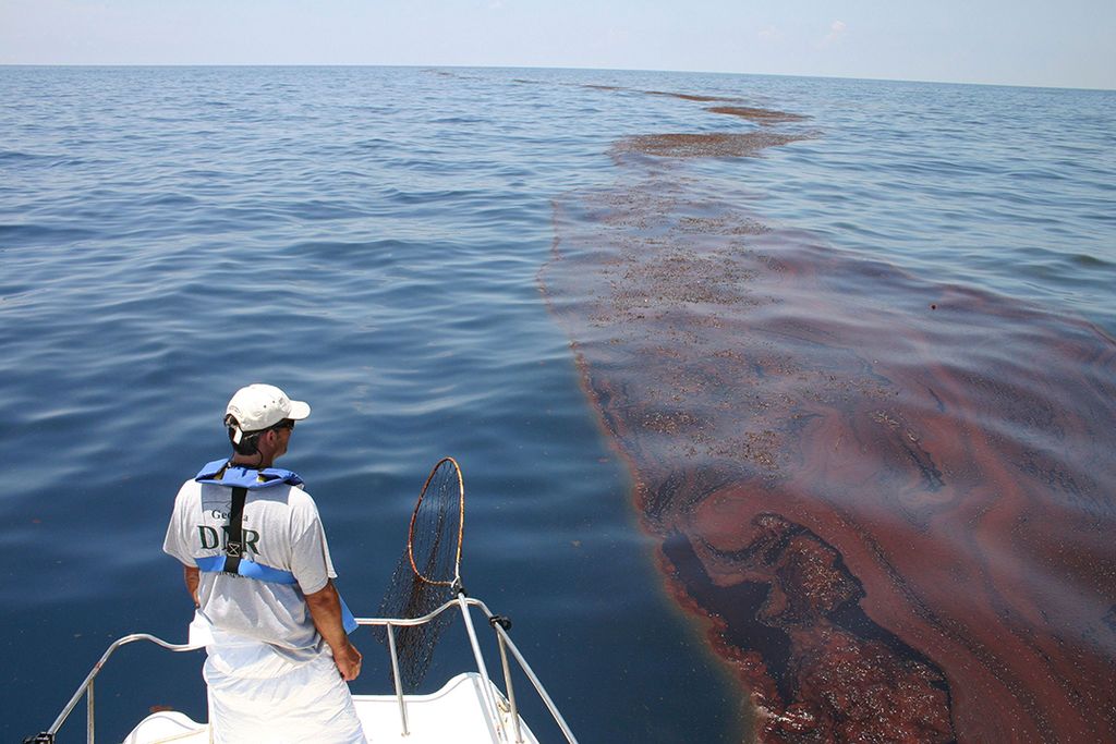 Surveying oiled sargassum