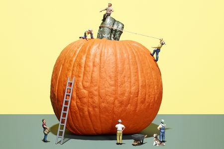 The weight of record-setting giant pumpkins has ballooned nearly 500 percent since 1975.