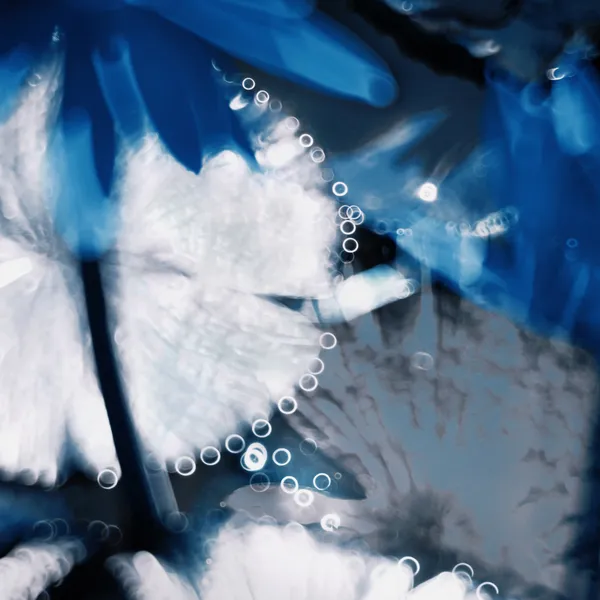 Blue Lotus thumbnail