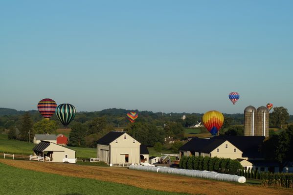 Morning Balloons in Lancaster County thumbnail