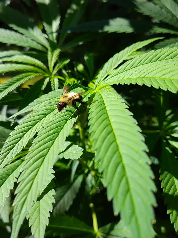 Coming in for a landing. thumbnail