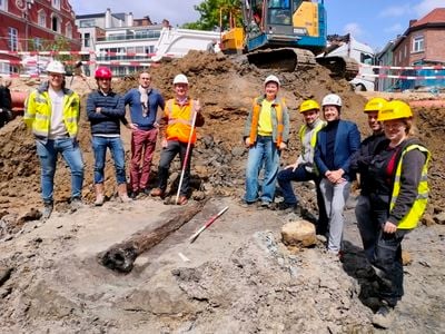 Ancient Roman Wooden Water Pipe Made From Hollow Tree Trunks Unearthed Beneath a Street in Belgium image