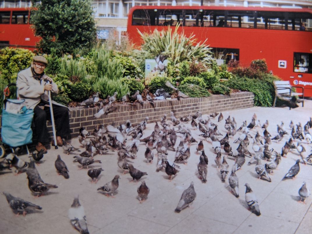 A man and his pigeons Smithsonian Photo Contest Smithsonian Magazine