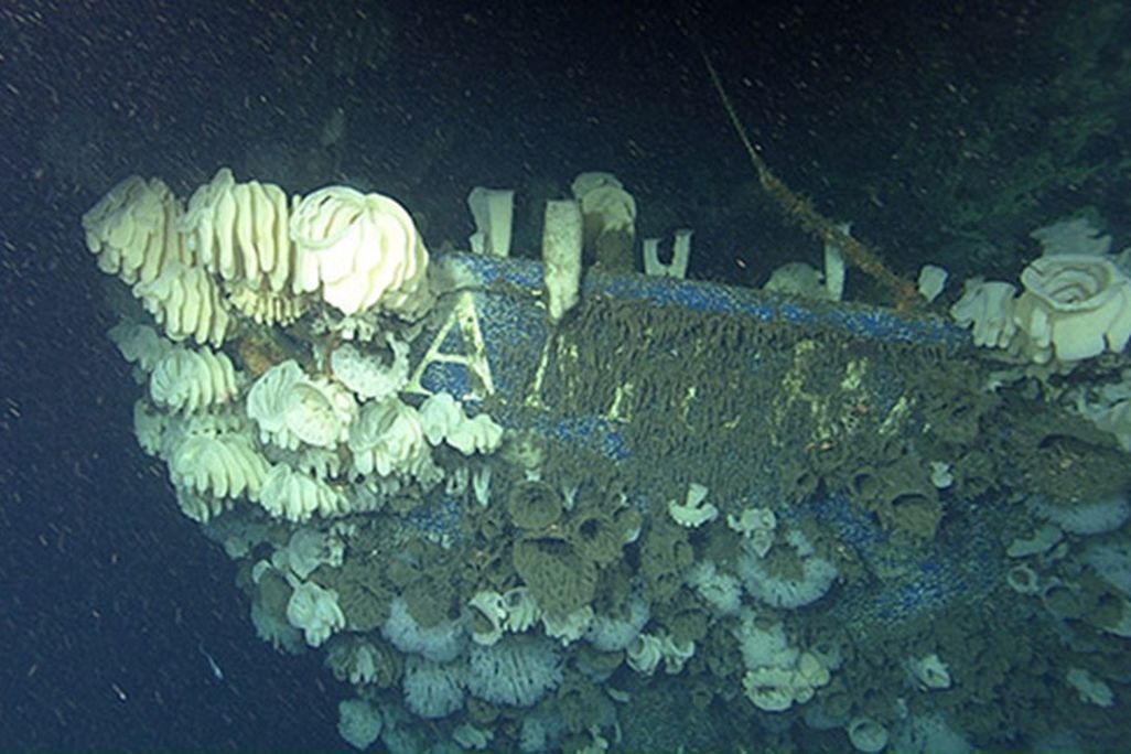 ah-wreck-bow-d1084-500.jpg