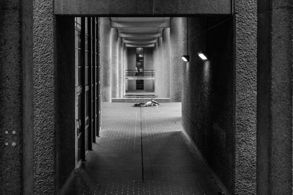 Concrete Solitude thumbnail