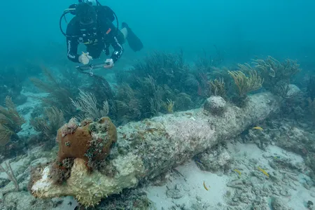 A diver documents one of the five cannons found during a recent archaeological survey of the wreck in Dry Tortugas National Park.