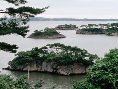 Tree-covered islands in Miyagi Prefecture, which has been affected by widespread flooding.